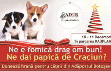 Ne e fomica, drag om bun! Ne dai papica de Craciun?  