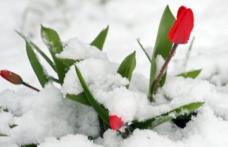 Avertizare ANM de ninsori în România! Mai multe zone ale țării vor fi afectate