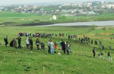 Primăria Municipiului Dorohoi vă invită la o acțiune de plantare de pomi