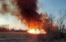 Alte 22 de incendii de vegetație în județ. Pompierii botoșăneni au intervenit