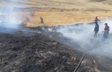 Stop incendiilor de vegetație uscată!