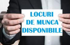 448 locuri de muncă vacante în județul Botoșani în această săptămână