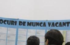 614 locuri de muncă vacante în această săptămână în judetul Botoșani