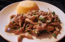 Ciupeci Pleurotus cu mămăligă