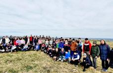 La Ibănești, primăvara a început cu mai mult verde - FOTO