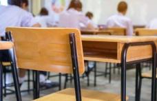 IȘJ Botoșani: Tichete sociale pentru sprijin educațional