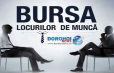 Bursa generală a locurilor de muncă la Botoșani