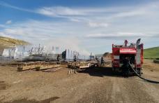 Peste 200 de oi au pierit într-un incendiu produs în județul Botoșani - FOTO
