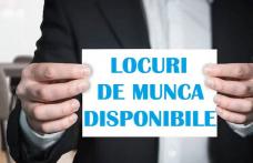 648 locuri de muncă vacante în județul Botoșani, în această săptămână