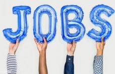 638 locuri de muncă vacante și programe de formare pentru care se organizează înscrieri la AJOFM Botoșani