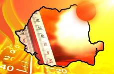 PRIMĂRIA MUNICIPIULUI DOROHOI atenționează!