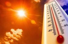 Mobilizare generală împotriva caniculei. Noile măsuri: Adaptarea programului de lucru, monitorizarea zonelor cu risc de incendiu