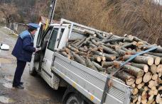Material lemnos confiscat de la un bătrân de 71 de ani