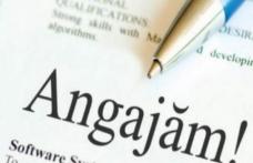 Societate comercială din Dorohoi angajează urgent muncitori. Vezi detalii!