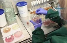 De ce rezistă bacteriile care provoacă infecții în spitale la antibiotice