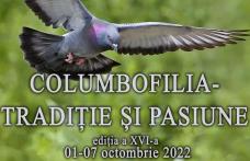 DOROHOI: Expoziția temporară „Columbofilia – tradiție și pasiune”, ediția a XVI-a