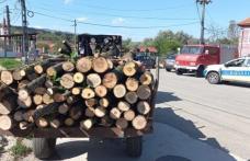 Amendă și material lemnos confiscat de Polițiștii din Săveni