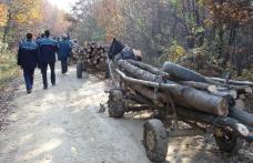 Acțiuni ale polițiștilor pentru combaterea infracțiunilor la regimul silvic