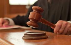 Bărbat trimis în judecată pentru uciderea animalelor, cu intenție, fără drept