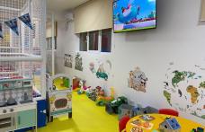 Spațiul de joacă „Arisucu&Deliuța” Dorohoi – Locul perfect pentru petrecerea copilului tău!