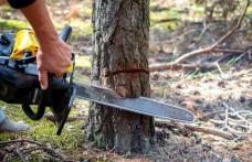 Tragedie la Suharău! Un bărbat de 46 de ani a murit în urma unui accident de muncă