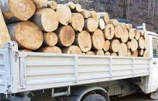 Material lemnos fără documente confiscat de polițiști