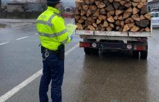 Bărbat din Flămânzi amendat după ce a transportat material lemnos pe baza unui aviz fals