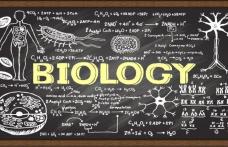 Două eleve din Dorohoi vor reprezenta județul Botoșani la etapa națională a olimpiadei de biologie