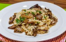 Risotto cu ciuperci pleurotus