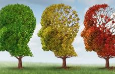 Stimulente naturale pentru memorie
