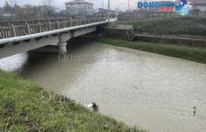 COD GALBEN! Hidrologii anunță risc de inundații pe râul Jijia și afluenții acestuia