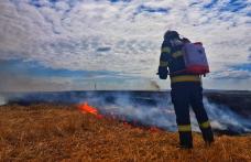 Campanie de recoltare a cerealelor, fără incendii