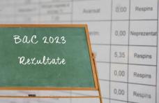 Rezultate Bacalaureat 2023. Vezi notele obținute de elevii din județul Botoșani!