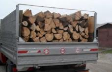 3,5 metri cubi de material lemnos confiscat la Răchiți