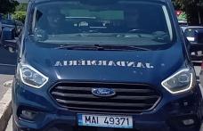 Bărbat amendat de jandarmi după ce a lăsat un câine agresiv liber pe stradă