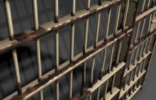 Bărbat condamnat pentru fals în declarații arestat de polițiștii botoșăneni