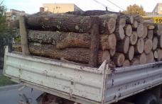 Lemne fără documente legale confiscate la Șendriceni