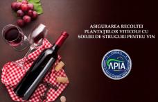 APIA primește cereri de plată pentru intervenția IS-V-03 „Asigurarea recoltelor”