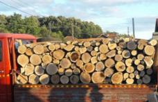 Peste 20 de metri cubi de material lemnos confiscați la Flămânzi 