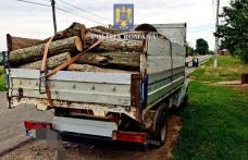 Material lemnos confiscat la Șendriceni