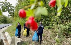 Pompierii botoșăneni au participat la campania națională de ecologizare - FOTO