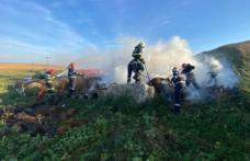 Aproximativ 30 de tone de furaje distruse în această dimineață în urma unui incendiu - FOTO