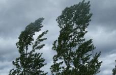 Atenție! Județul Botoșani se află sub avertizare meteo COD GALBEN de intensificări ale vântului