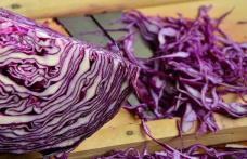 Dieta cu varză roșie împotriva obezității, constipației dar și a cancerului