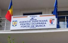 AJOFM Botoșani: Informare privind selecția grupului țintă din cadrul proiectului ICOPROF-BT-R