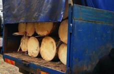 Material lemnos fără documente legale de transport confiscat la Șendriceni