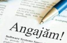 Bursa Locurilor de Muncă din Botoșani: 22 de absolvenți au fost încadrați pe loc, iar 53 de tineri au fost selectați pentru a da probe de lucru