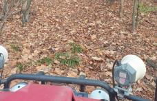 Autoritățile au găsit copilul de 13 ani, din Ibănești, care s-a rătăcit prin pădure