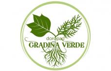 Gradina de lângă bloc - Proiect de înverzire a municipiului Dorohoi