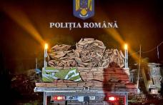 Acțiune pentru combaterea faptelor ilegale în domeniul silvic